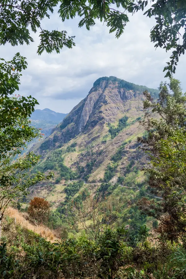 winding mountain road near ella sri lanka winding mountain road near ella sri lan 131051994